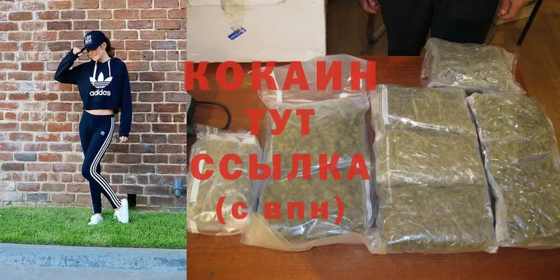 где найти   Дмитровск  Cocaine 97% 