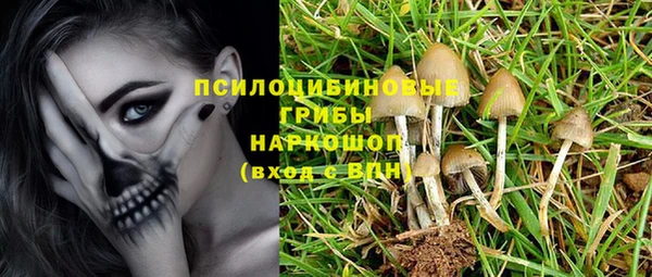 амфетамин Медвежьегорск