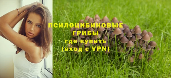 герыч Медногорск