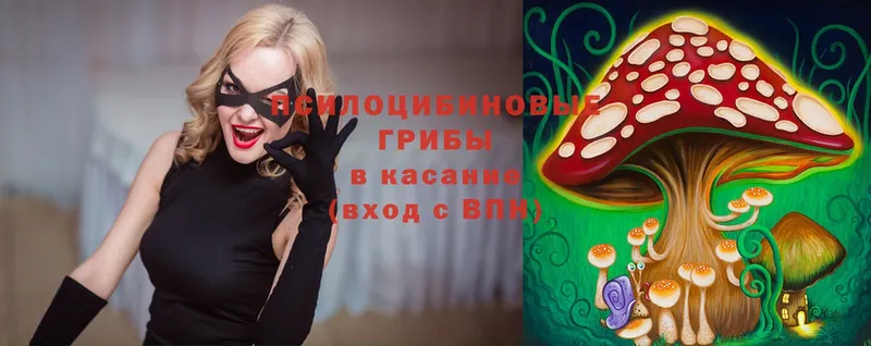 Псилоцибиновые грибы Magic Shrooms  мориарти официальный сайт  Дмитровск 